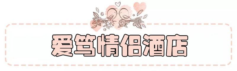 鄭州愛篤情侶酒店設(shè)計(jì)